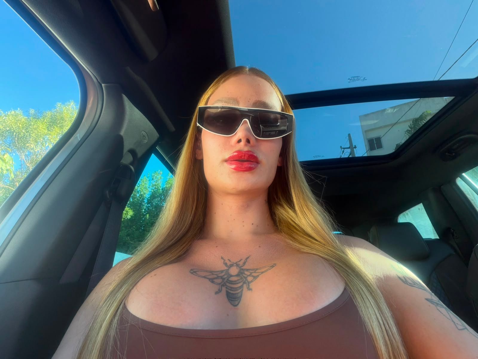 TransdoVale